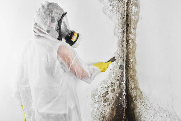 Best Crawl Space Mold Removal  in Oroville, CA