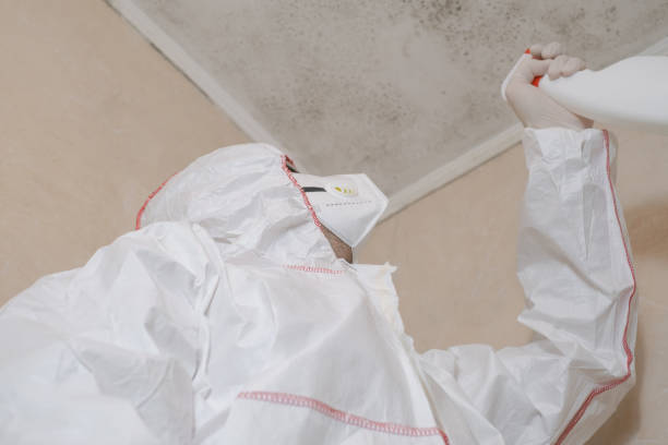 Best Mold Damage Repair  in Oroville, CA