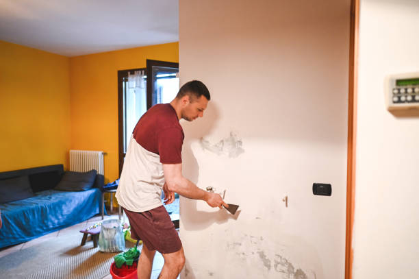 Trusted Oroville, CA Mold Removal Experts